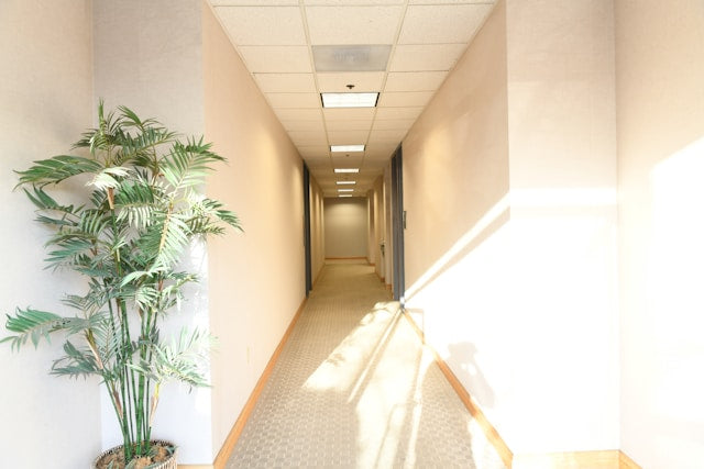 How to Create a Consistent Signage System Throughout Your Office