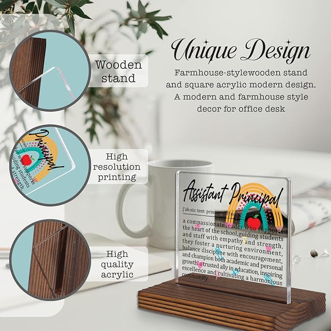 Assistant Principal Gifts, Thank You Desk Sign for Vice Principals, Inspirational Appreciation Plaque for Educational Leaders, Office Decor Recognition for School Admins PA033