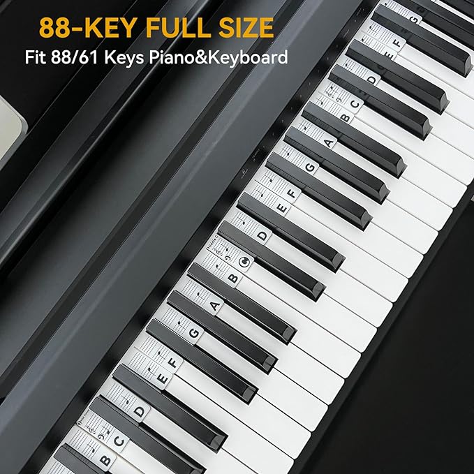 BEATBIT Piano Notes Guide for Beginner, Removable Piano Keyboard Note Labels for Learning, 88-Key Full Size, Made of Silicone, No Need Stickers, Reusable and Comes with Box (Classic Black）