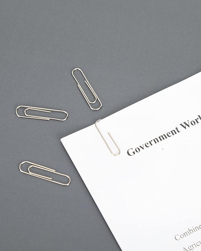 PAPERPAL Paperclips for Office School & Personal Use, #1 Nonskid Paper Clip (1-2/7"), 600 Medium Paper Clips (6 Boxes of 100 Each), Silver