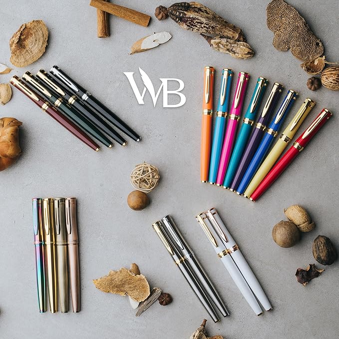 Wordsworth & Black Fountain Pen Set, 18K Gilded Medium Nib, Includes 24 Pack Ink Cartridges, Ink Refill Converter & Gift Box, Gold Finish, Calligraphy, [Silver Chrome], Perfect for Men & Women